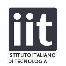 IIT